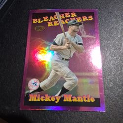 Mickey mantle bleacher reacher