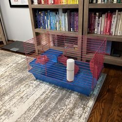 Guinea pig cage