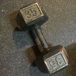 35lb Dumbbell