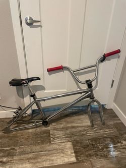 Vintage chrome Redline  BMX project bike