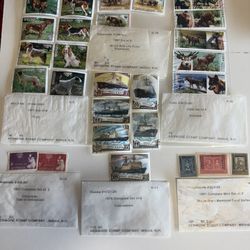 Stamp Collection