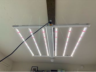 2-Luxx 645 PRO grow lights