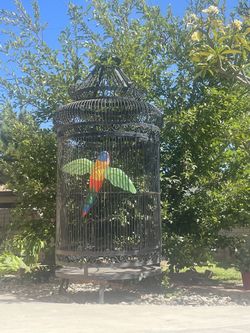 6 Foot Parrot Cage