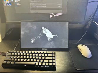 15.6" Portable Monitor 1080p 60Hz