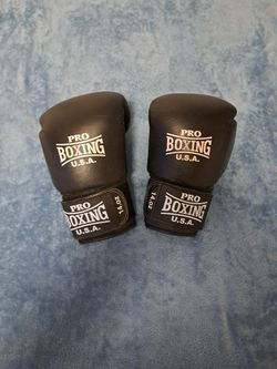 Boxing Gloves 14oz