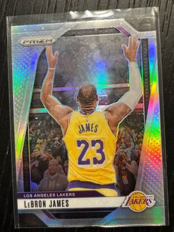 LeBron James Silver