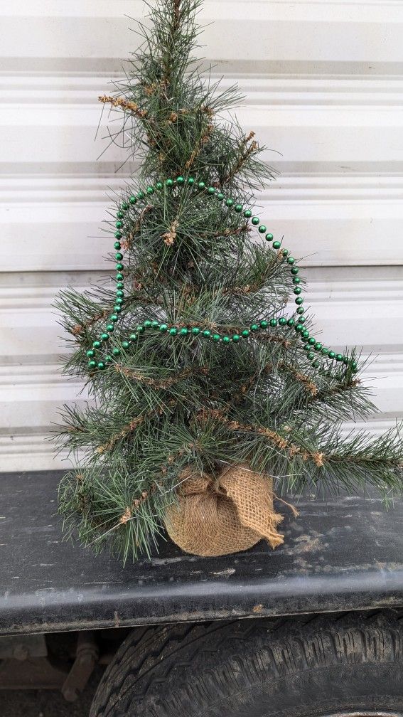 Small Artificial Christmas Tree That Needs Some Decorations. About 2', East or West Pickup.