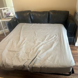 Free Sleeper Sofa