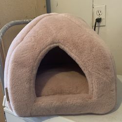 Cat Bed