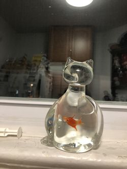 Glass cat with goldfish