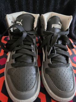 New pumas