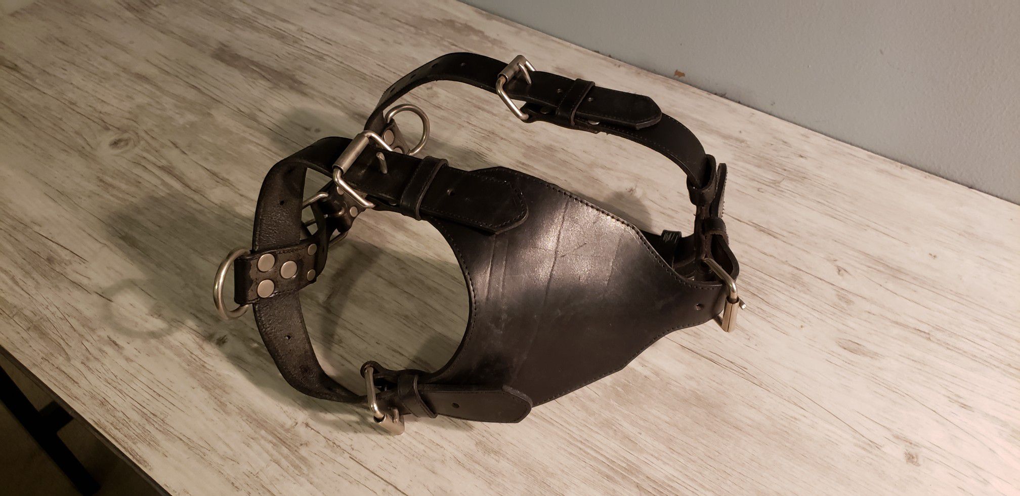 GENUINE LEATHER BLACK HARNESS GREAT CONDITION