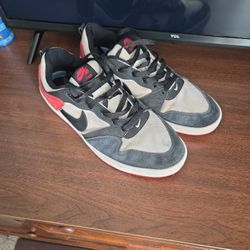 Mens Nike Sb Alleyoop