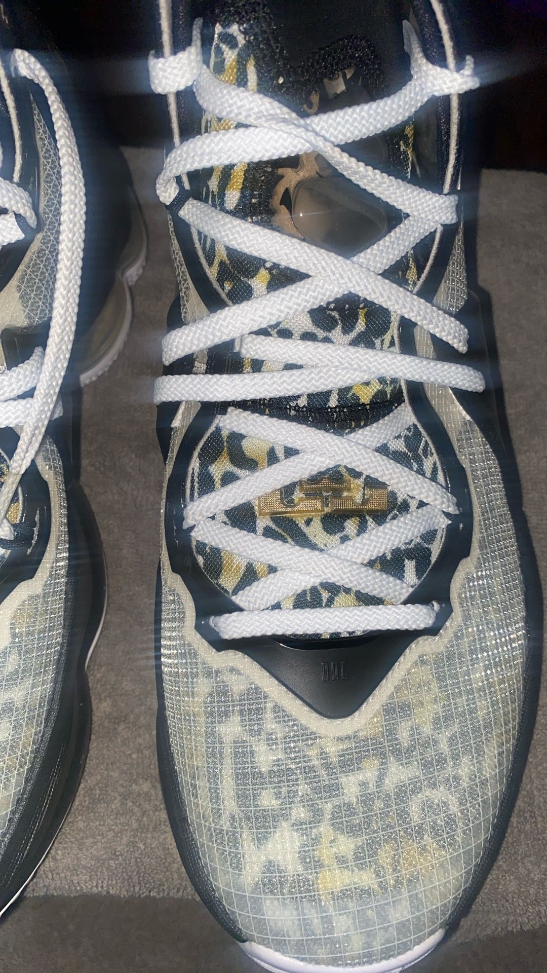 LEBRON 19 SE GS 'WHITE METALLIC GOLD'