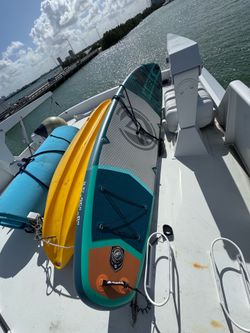 Paddle board