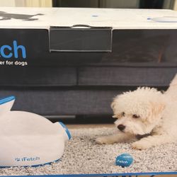 ifetch Ball Launcher