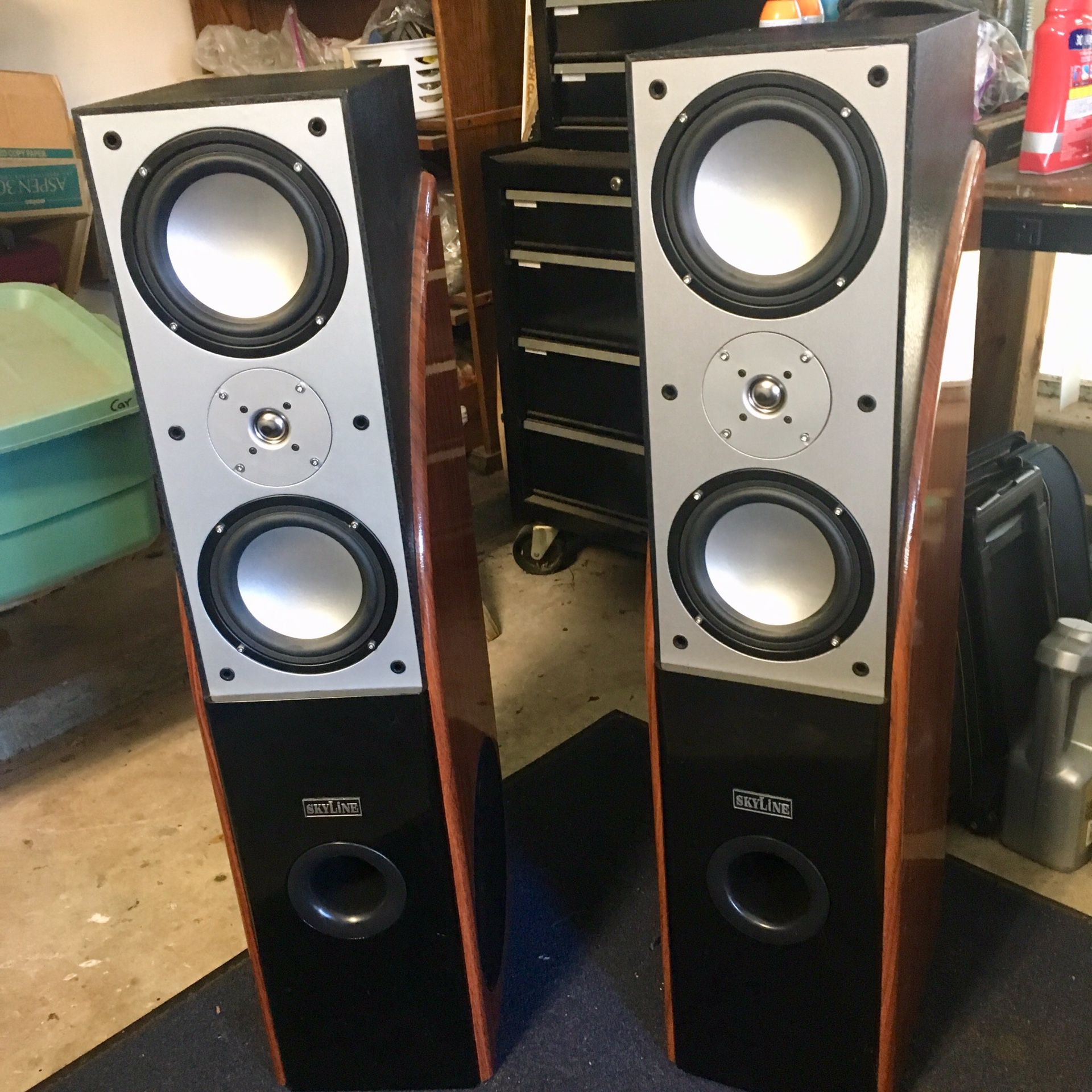 tower speakers skyline 900SL