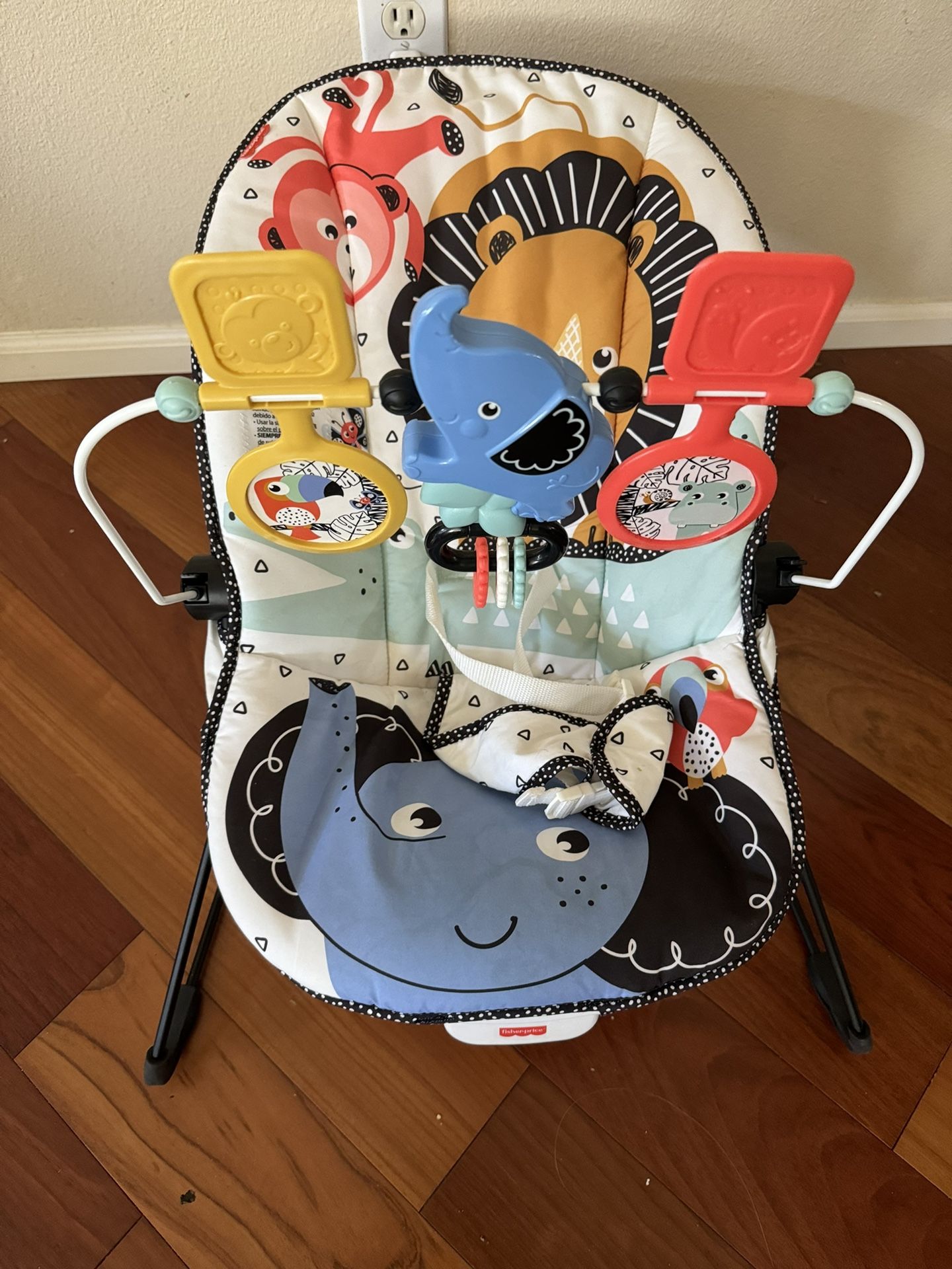 Fisher Price Baby Bouncer