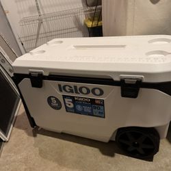 Cooler Igloo