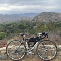 Novara Randonee Gravel Touring Steel Bike