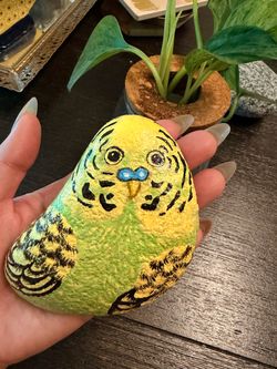 Hand-Painted Budgie Parakeet Rock Art