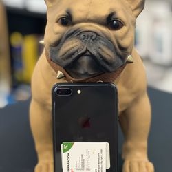 iPhone 8 Plus Unlocked 64GB