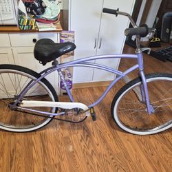 Schwinn Cruiser 