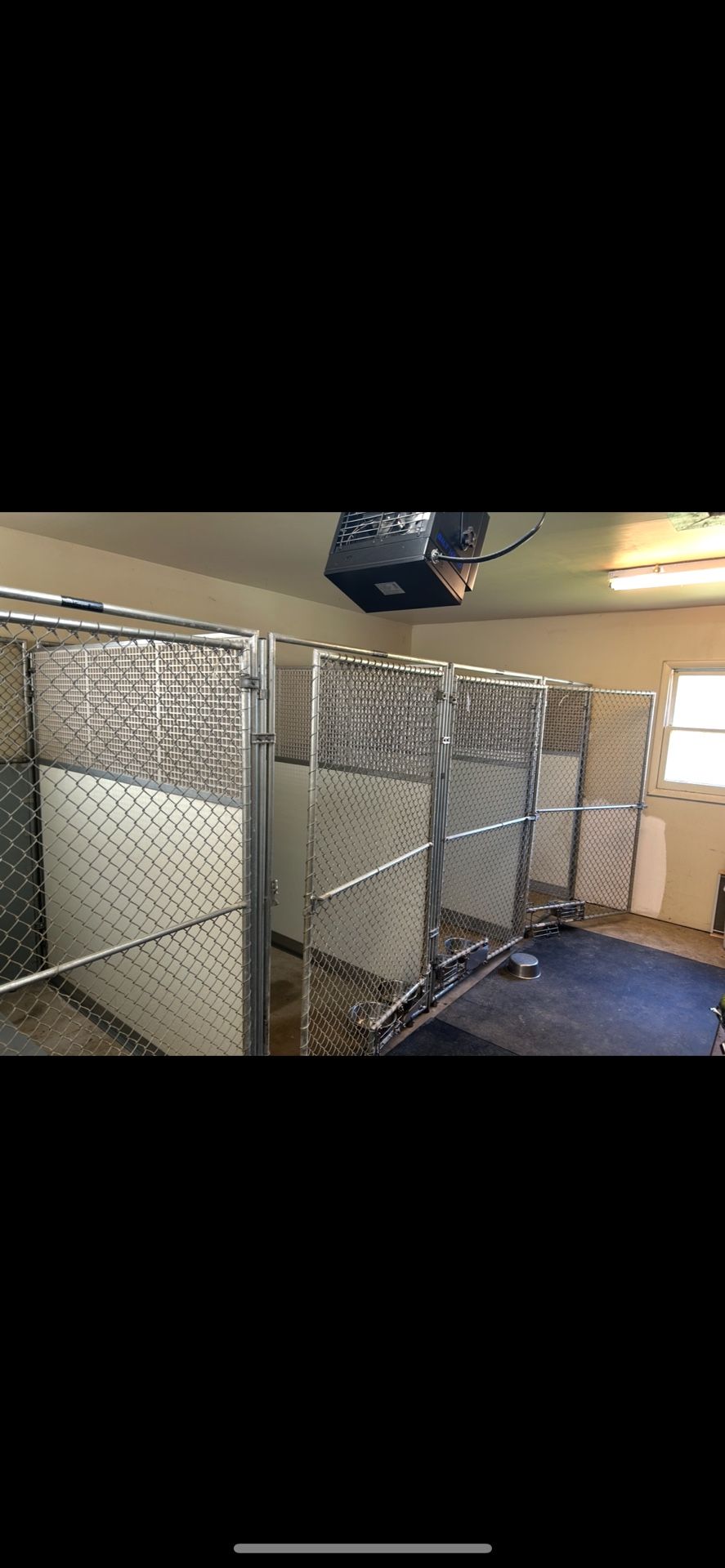 Dog Kennels 
