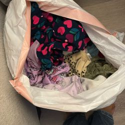 FREE BAG OF TODDLER GIRL CLOTHES 
