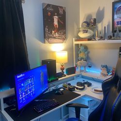 Entire Gaming Setup