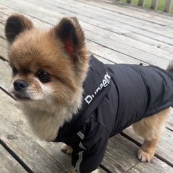Dog raincoats NEW
