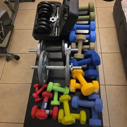 Hand held weight set