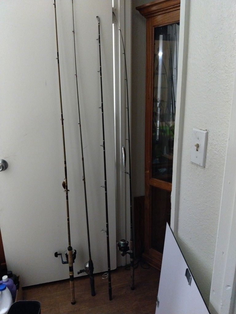 ESTATE SALE 291 JAMACHA RD #31