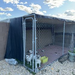 Dog Kennel 5x6x12 