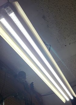 Jesled 4ft LED Lights