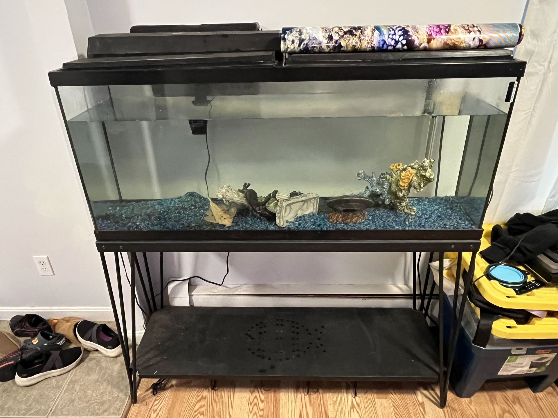 50 Gallon fish tank with stand