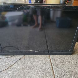 Free Sony 55"