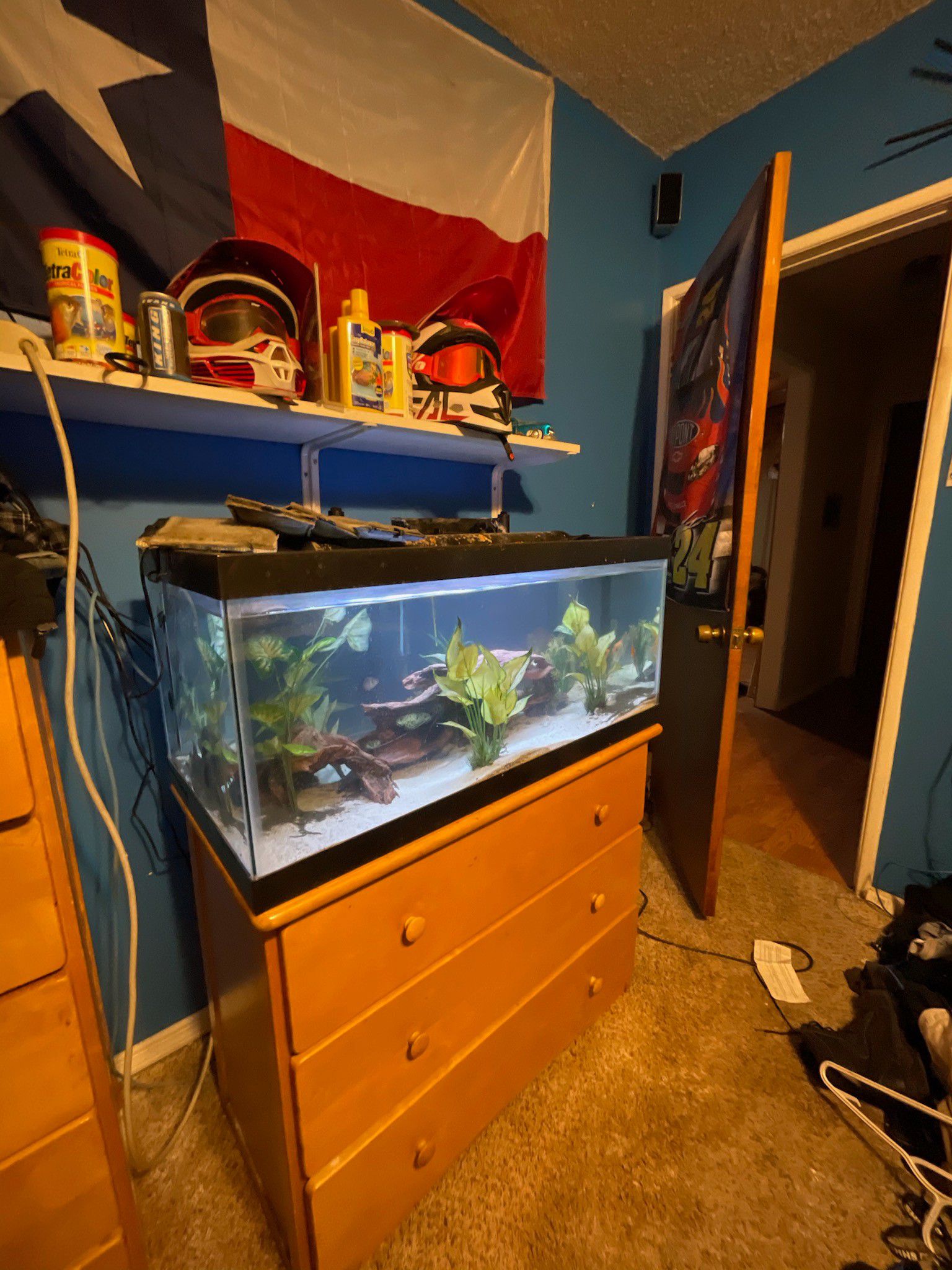 40 gallon fish tank