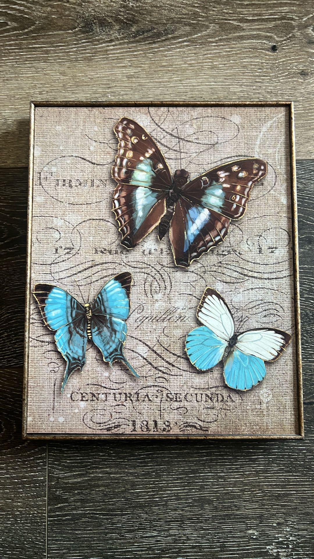 Pic of butterfly