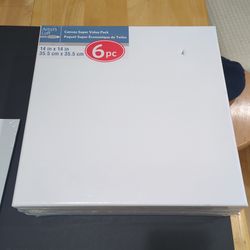 Canvas 6 pack 14" x 14"