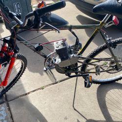 Bike Motor