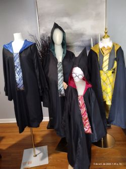 Harry Potter kids and adult Halloween costume