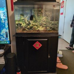 [Pending] 20 Gallon Fish Tank With Stand