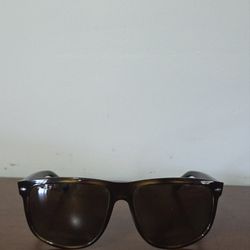 Ray Ban Brown Sunglasses