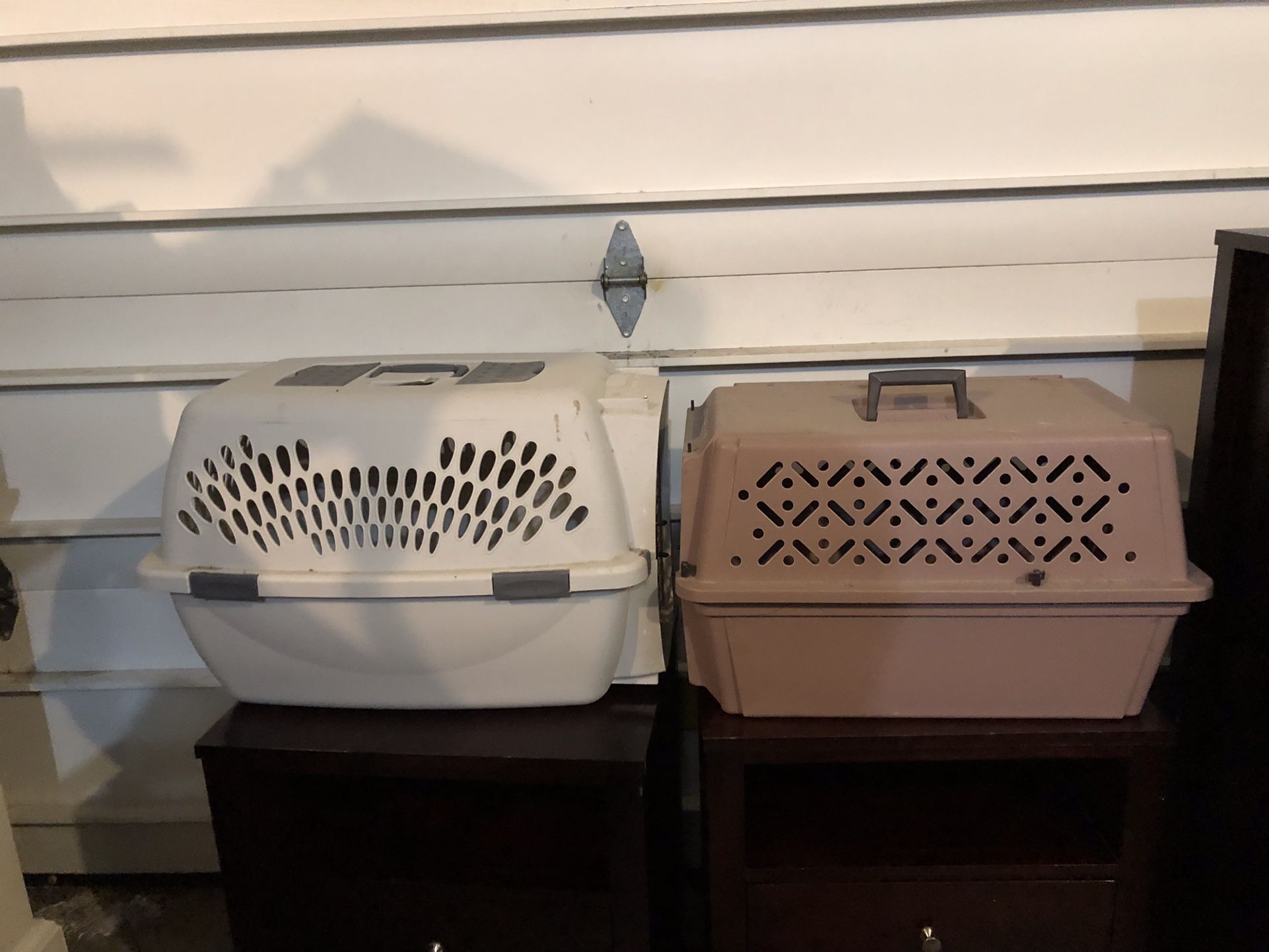 Pet Carrier Taxi