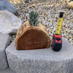 Mesquite wood succulent planter