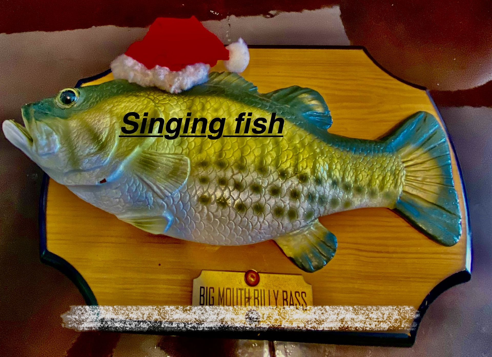 Motorized Singing Fish With Moving Parts