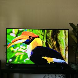 65” SONY BRAVIA 4K 