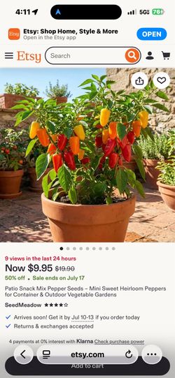 Sweet pepper plant