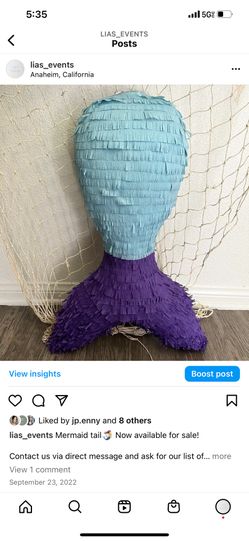 Piñata (ready for pick up)